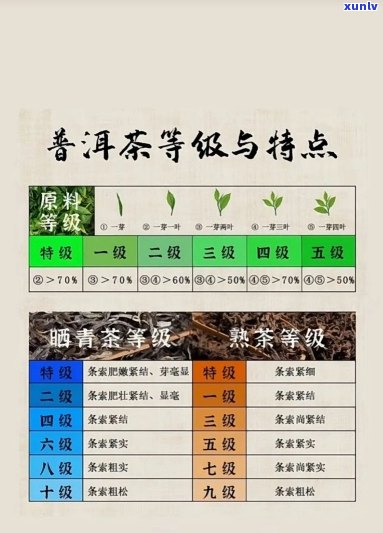 普洱茶9978:一款独具魅力的茶叶品种及其背后的故事