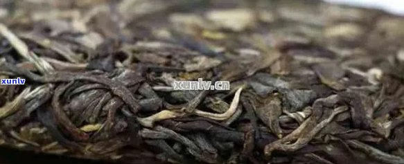 普洱茶9948:详解及与9978的区别，还有181和99青饼的解析。