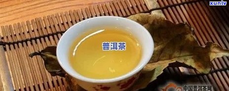 全面解析：生普洱茶是否真的能帮助减肥？了解其原理与效果