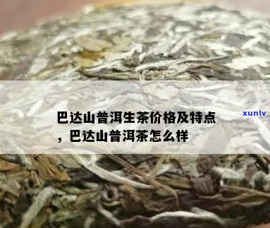 巴达普洱茶价格表及特点，云南巴达山普洱茶价钱。