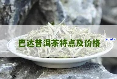 巴达普洱茶价格表及特点，云南巴达山普洱茶价钱。