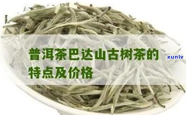 巴达普洱茶价格表及特点，云南巴达山普洱茶价钱。