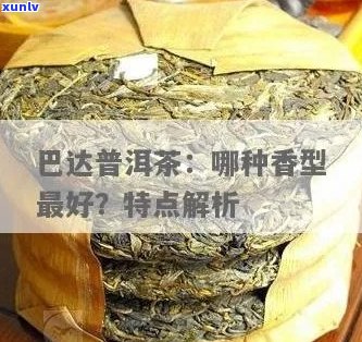 巴达普洱茶：特点、品种、 *** 工艺与品饮 *** 的全面解析