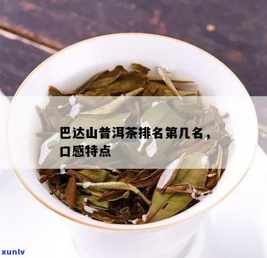 巴达山普洱茶特点口感介绍及价格