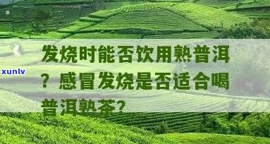 普洱茶对发烧症状的影响：是否适合饮用？如何正确饮用以缓解症状？