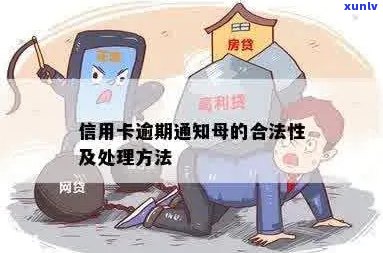 信用卡逾期通知母吗