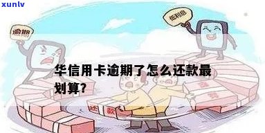 华信用卡逾期怎么办？