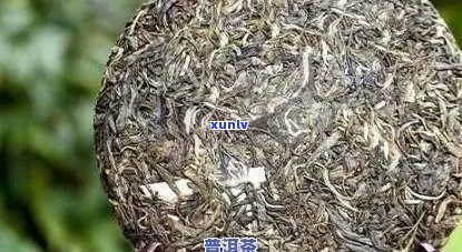 普洱茶有霉菌管喝吗女性：普洱茶是否含有霉菌以及霉菌对人体的影响。