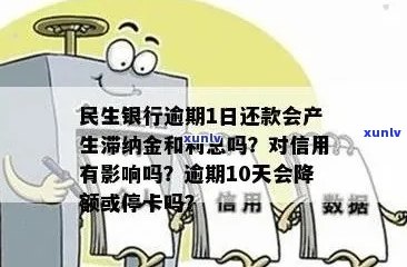 全款清缴民生信用卡逾期：详细步骤与解答，助您轻松解决问题！