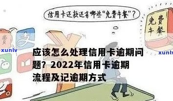 新2022年信用卡逾期还款全流程攻略，让你轻松避免罚息和受损！