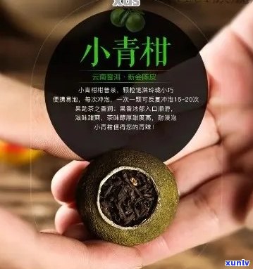 '小青桔普洱茶的健益处：提升免疫力、促进消化和减肥的神奇功效'