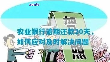 农行信用卡逾期分期问题解答：如何解决逾期无法分期的困扰？