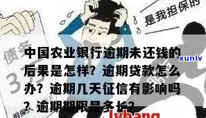 农行信用卡逾期分期问题解答：如何解决逾期无法分期的困扰？