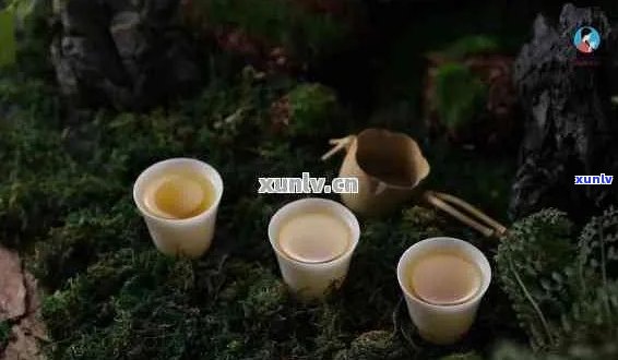 '友情就像普洱茶是什么意思':友情经历时间的洗礼，如同普洱茶越陈越香。