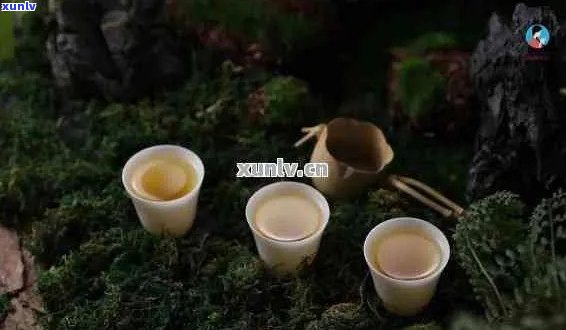 '友情就像普洱茶是什么意思':友情经历时间的洗礼，如同普洱茶越陈越香。