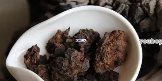 旁腺瘤能否饮用普洱茶？请专家解答