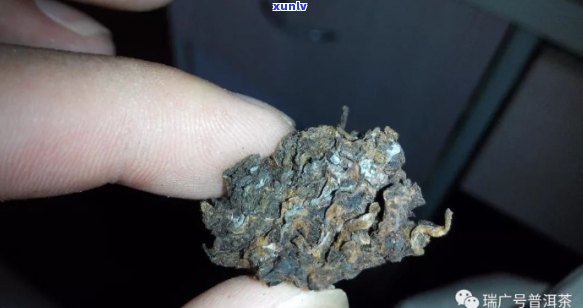 旁腺瘤能否饮用普洱茶？请专家解答