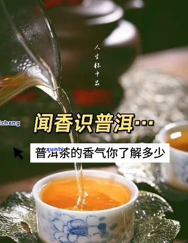 闻香识普洱茶怎么样