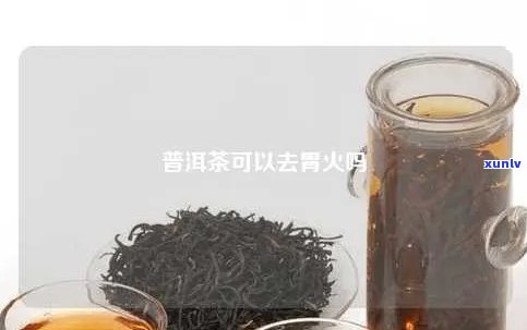 普洱茶能去火排吗