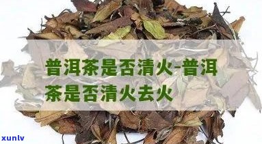 普洱茶能去火排吗