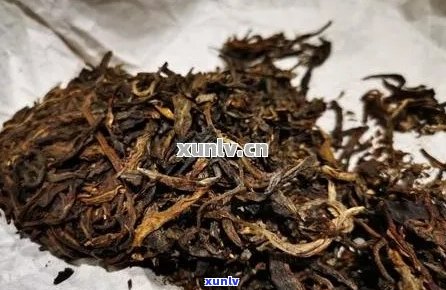 63年陈酿普洱茶：老同志的匠心之作与时间的见证