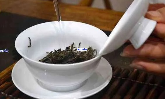 13招掌握普洱茶的深厚底蕴：从选茶到泡法，全方位解析