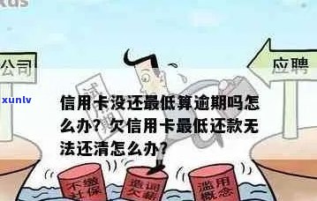 没钱了信用卡马上逾期了怎么办，会有什么影响？