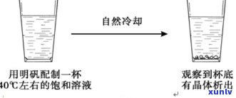 铁杯子是否能装饮用水？探究其科学原理与应用