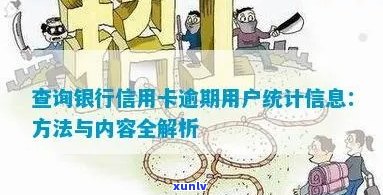 统计信用卡逾期金额怎么查：查询指南与 *** 