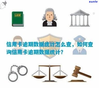 统计信用卡逾期金额怎么查：查询指南与 *** 