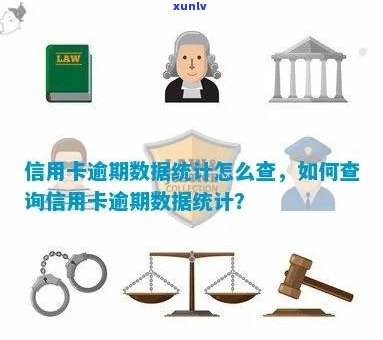 统计信用卡逾期金额怎么查：查询指南与 *** 