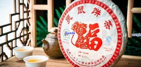 十二生肖普洱茶全解析：品种、产地、口感、功效等一网打尽！