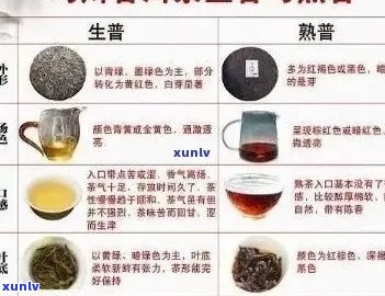 十二生肖普洱茶全解析：品种、产地、口感、功效等一网打尽！