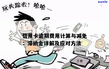 华信用卡分期逾期一天的罚息及滞纳金计算方式解析