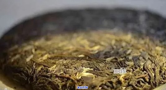 普洱茶的发酵过程及其对茶叶品质和健的影响是什么？