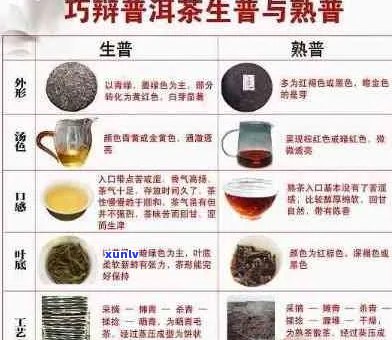 普洱茶新手入门必知的全方位指南：选购、品鉴、冲泡与收藏宝典