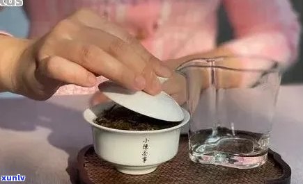 普洱茶冲泡 *** 全面解析：从选茶、准备到品鉴，让你轻松掌握冲泡技巧