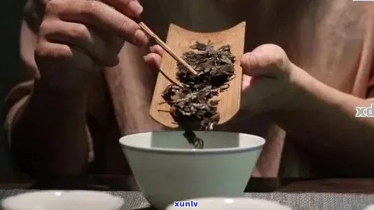 普洱茶冲泡 *** 全面解析：从选茶、准备到品鉴，让你轻松掌握冲泡技巧