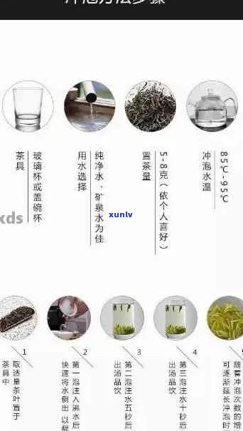 探究普洱茶的冲泡艺术：度、时间与口感的微妙关系