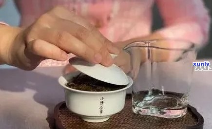 普洱茶沏法详解：从选茶到冲泡，一篇全面指南帮助您品味普洱的魅力