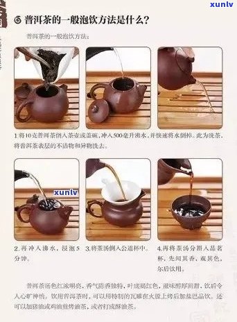 普洱茶沏法详解：从选茶到冲泡，一篇全面指南帮助您品味普洱的魅力