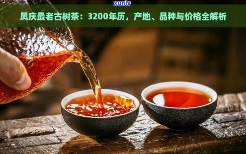 凤鸣呈祥普洱茶：年份、品质与价格一览，探寻古树茶的投资价值