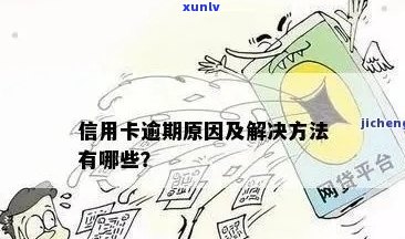 九零后信用卡逾期现象分析：原因、影响与解决方案全面解析