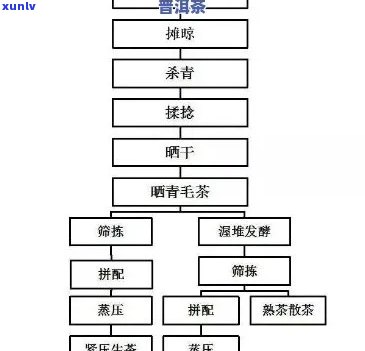 荣氏普洱生茶：品质、种类、 *** 工艺及泡法全面解析