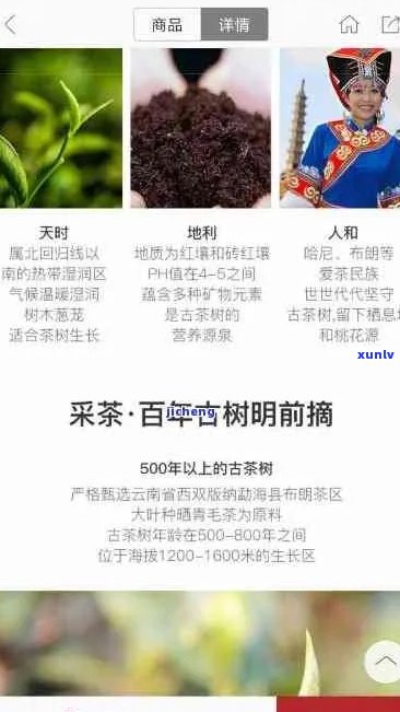 普洱茶营销官网、 *** 、评价及国企疑问解答