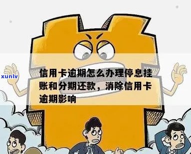 新乡信用卡逾期还款问题解决方案：如何实现停息分期？