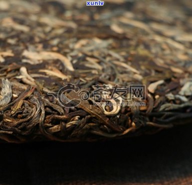 明前春茶普洱茶生茶357克怎么泡？价格是多少？