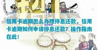 新乡信用卡逾期还款问题解决方案：如何实现停息分期？