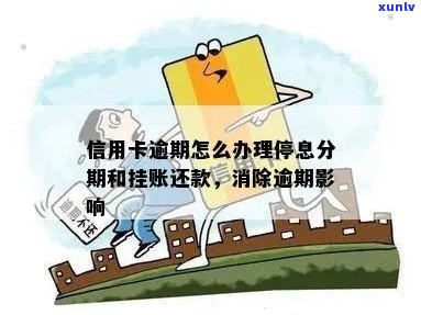 新乡信用卡逾期停息分期办理全攻略：如何操作、注意事项及常见问题解答