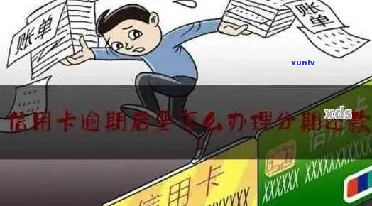 新乡信用卡逾期停息分期办理全攻略：如何操作、注意事项及常见问题解答